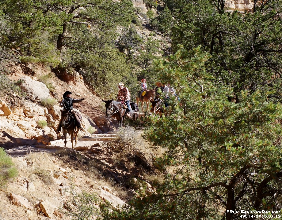 49514CrLeSh - Along Bright Angel Trail